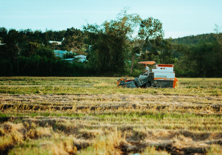 A tractor working in a field