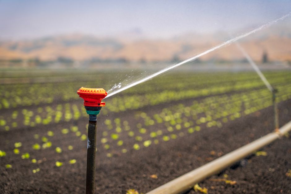 Irrigation running in a field